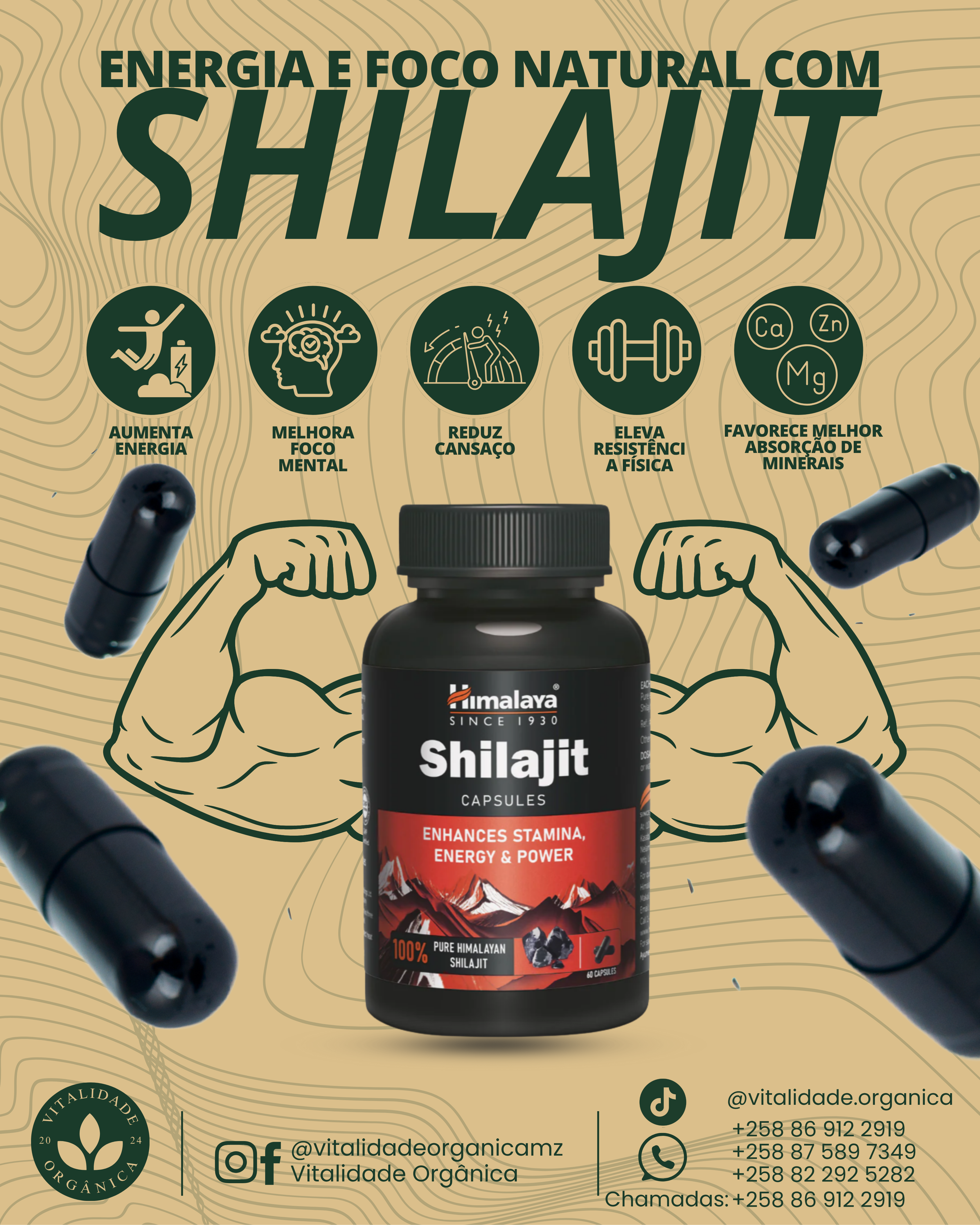 Shilajit 60 cápsulas Himalaya