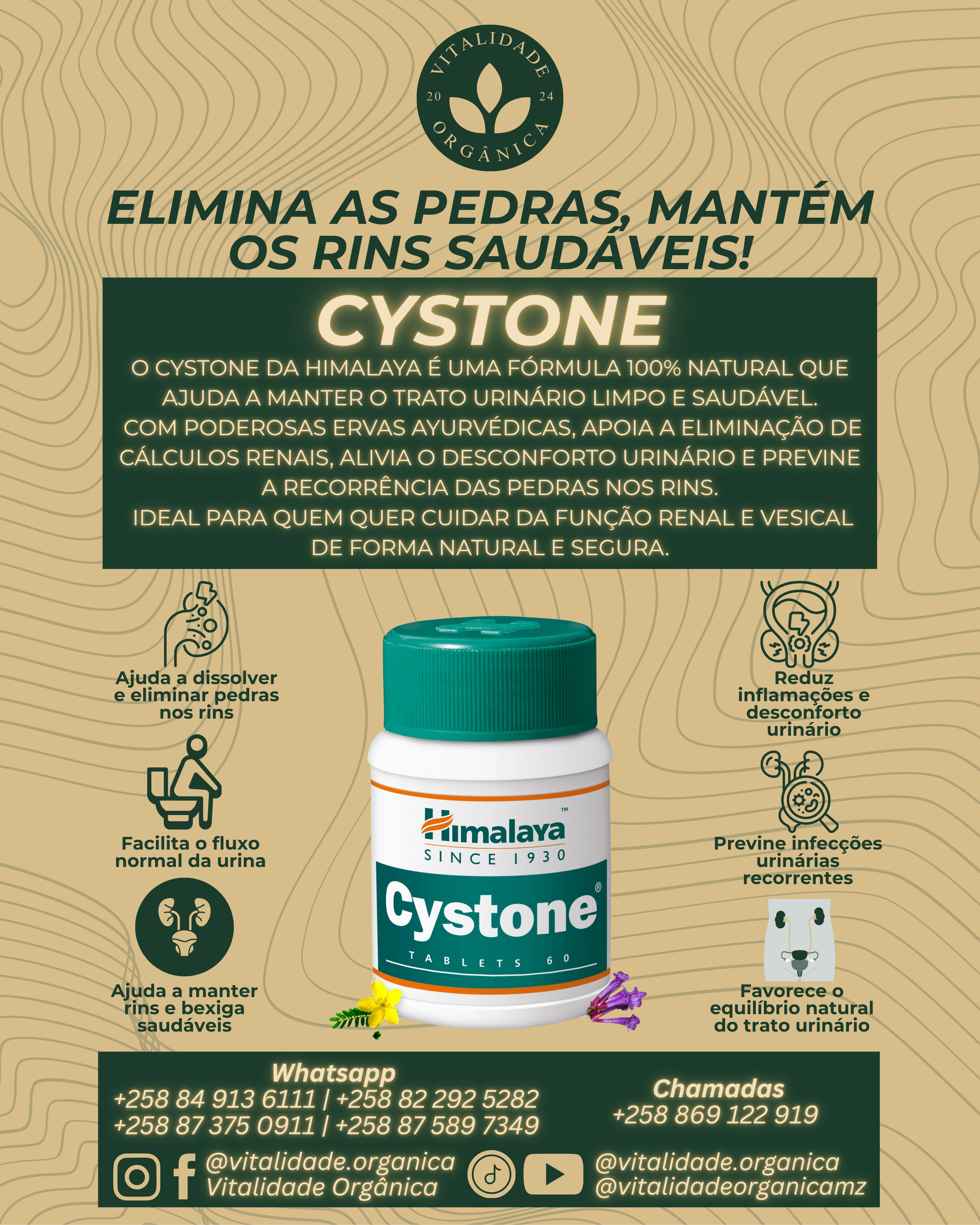 Cystone 60 comprimidos - Himalaya