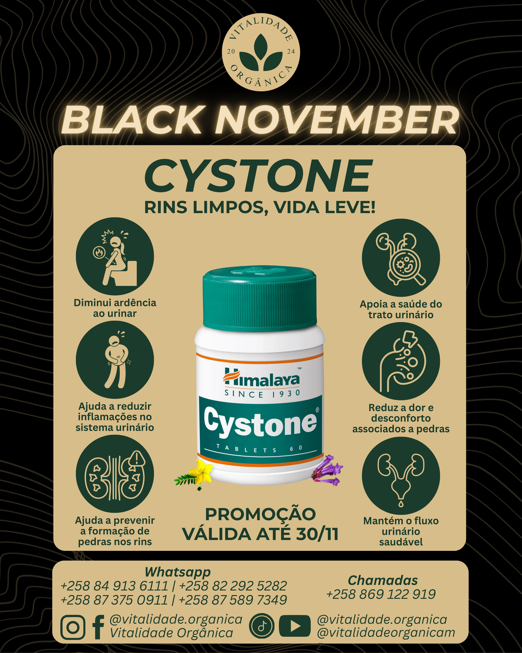 Cystone 60 comprimidos - Himalaya