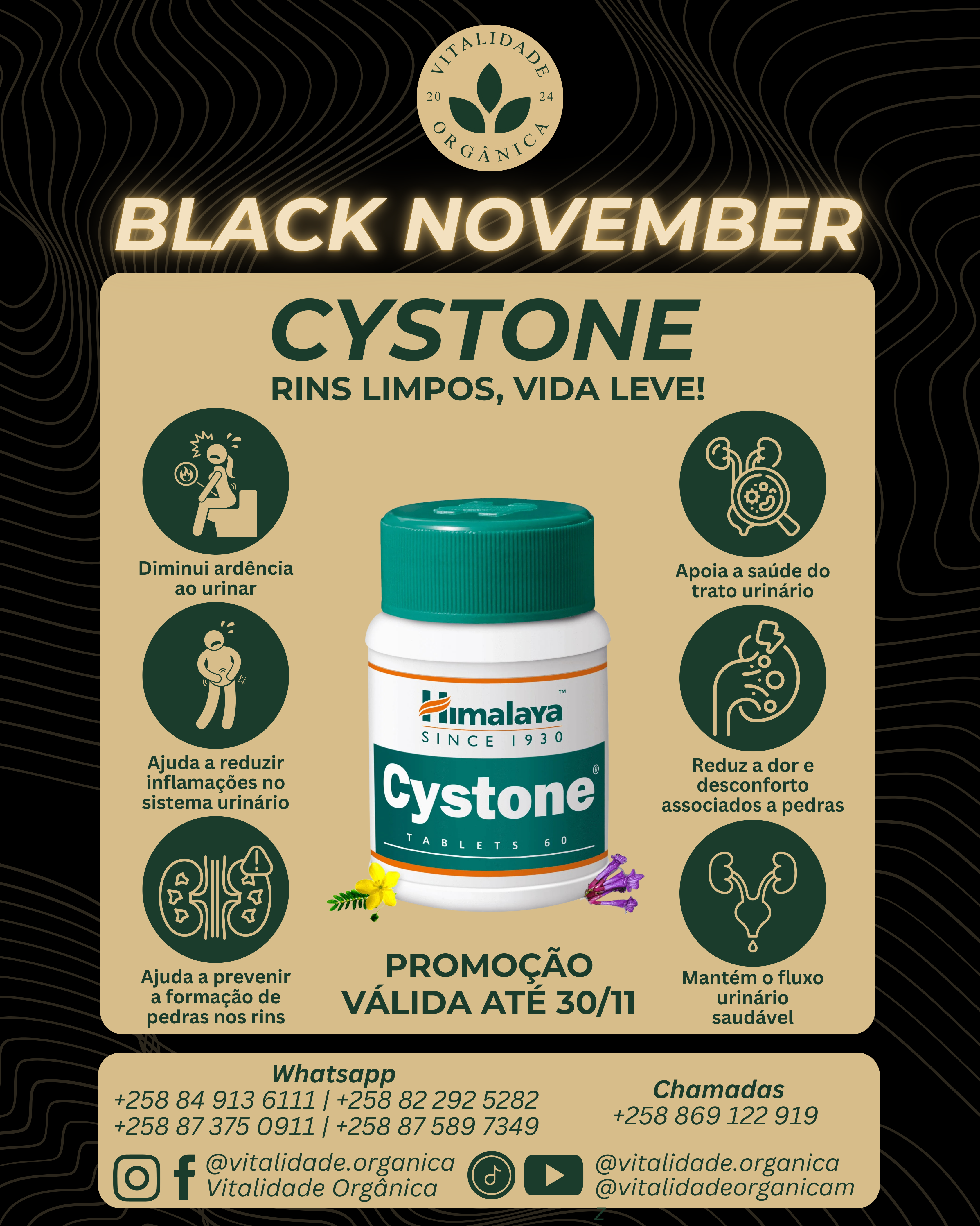 Cystone 60 comprimidos - Himalaya
