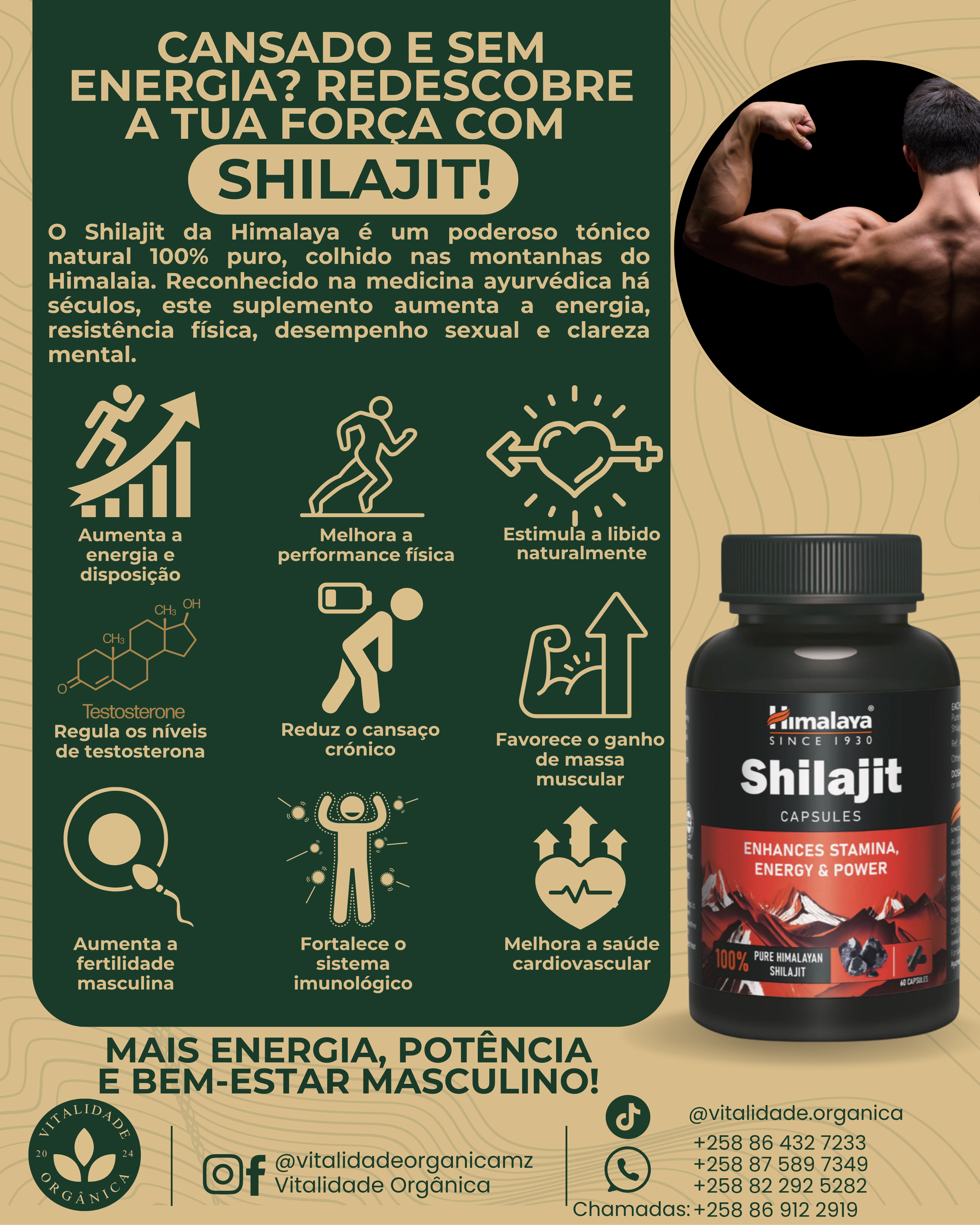 Shilajit 60 cápsulas Himalaya